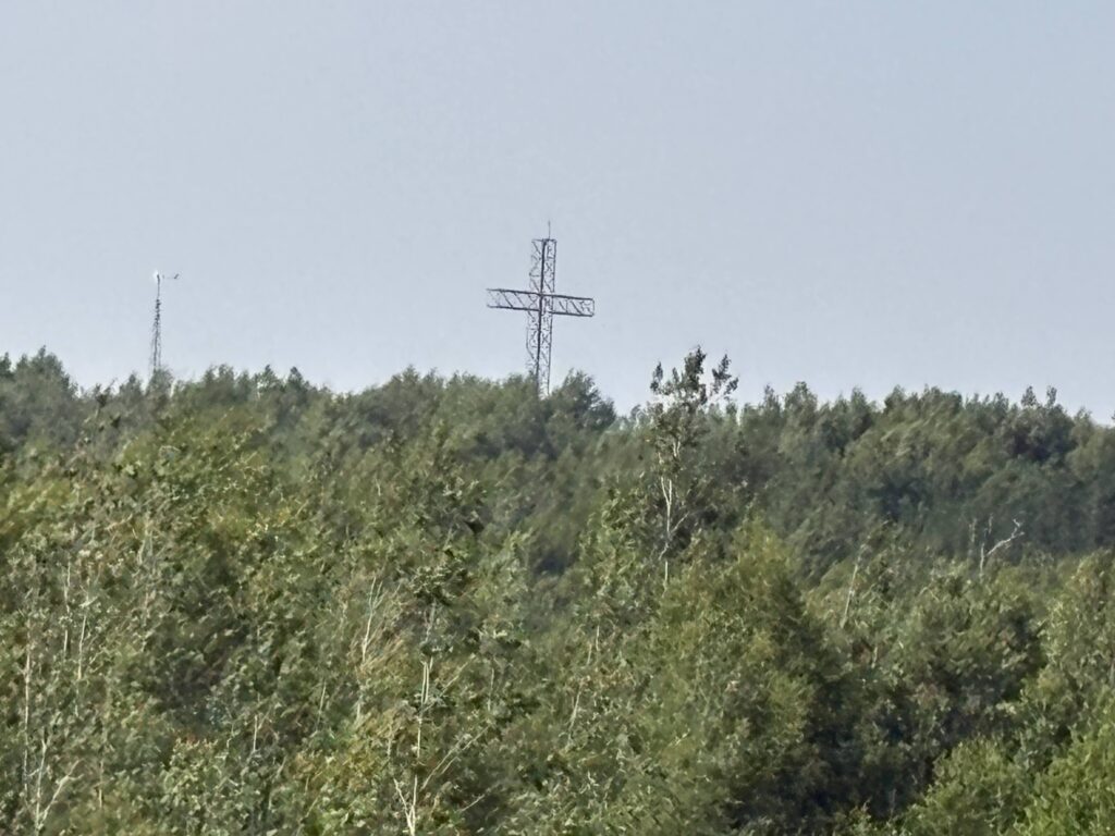 Metal cross tower rising above a forest under a pale sky.